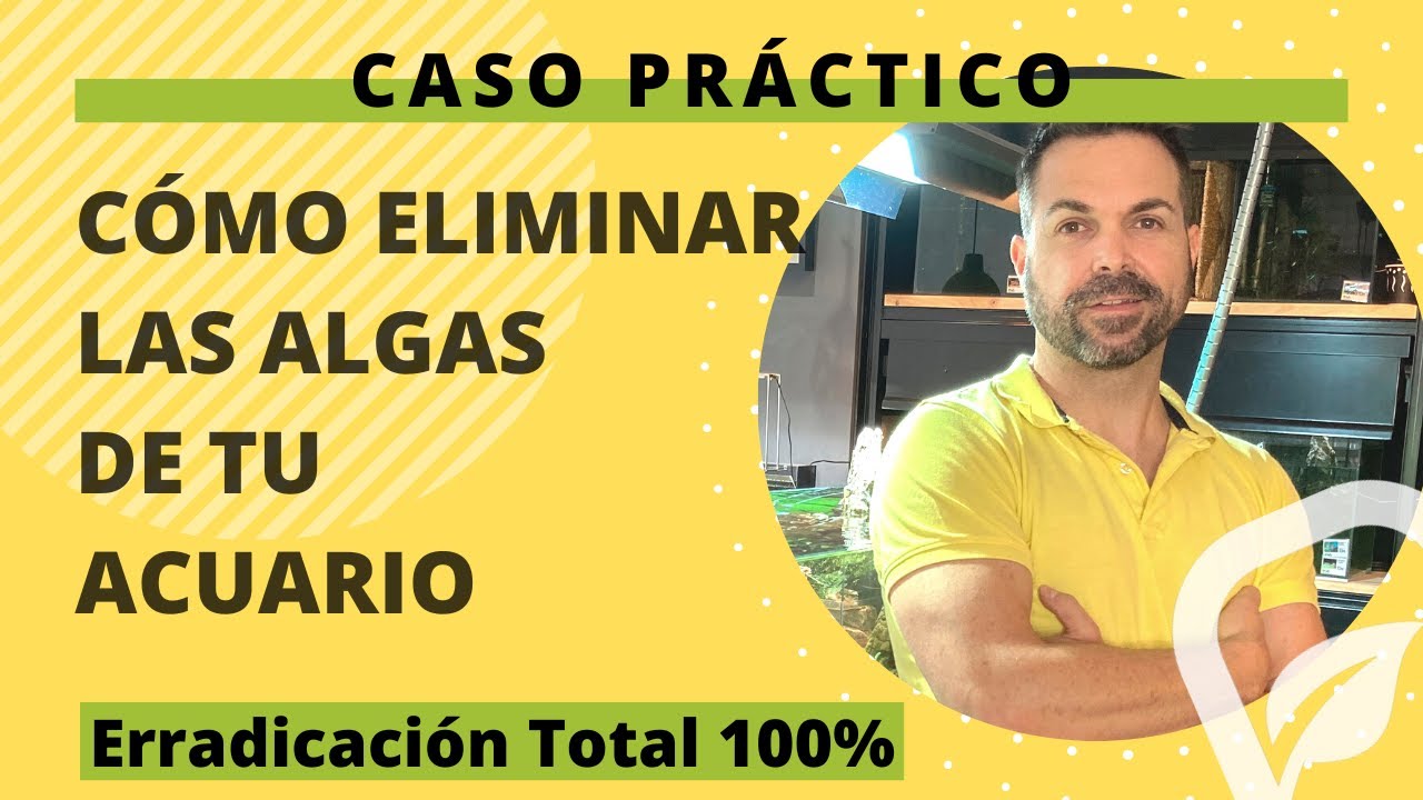 Como ERRADICAR las algas de tu acuario | CASO PRÁCTICO