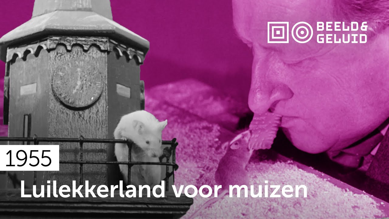 📼 Muizen in Scheveningen (1955)