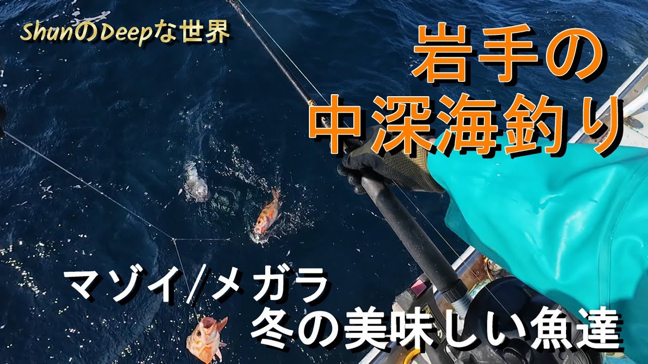 【釣り】五目・メガラ釣り　2025年度シーズン初