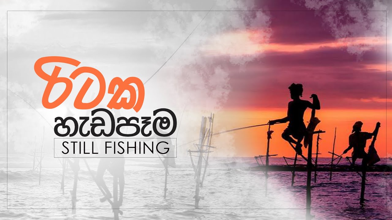 Still Fishing | රිටි පන්න‍ ධීවරයෝ | koggala beach  fishing | රිටි පන්න‍ | Sri Lankan fishing style