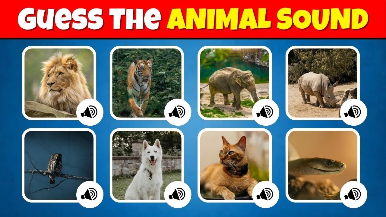 Guess the 30 Animal Sounds 🐶🔊🦁 | Animal Sounds for Kids | Quiz Bunnies