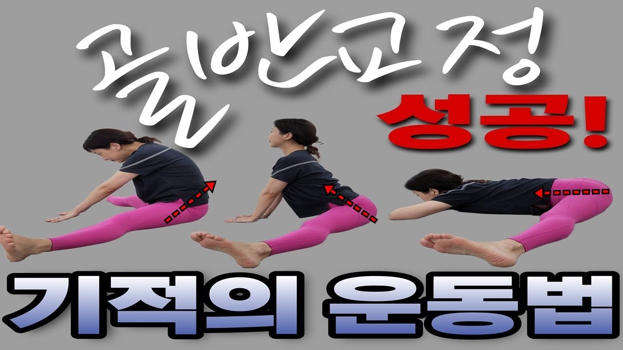 골반교정 기적의운동법 해보면 깜짝 놀라실거에요