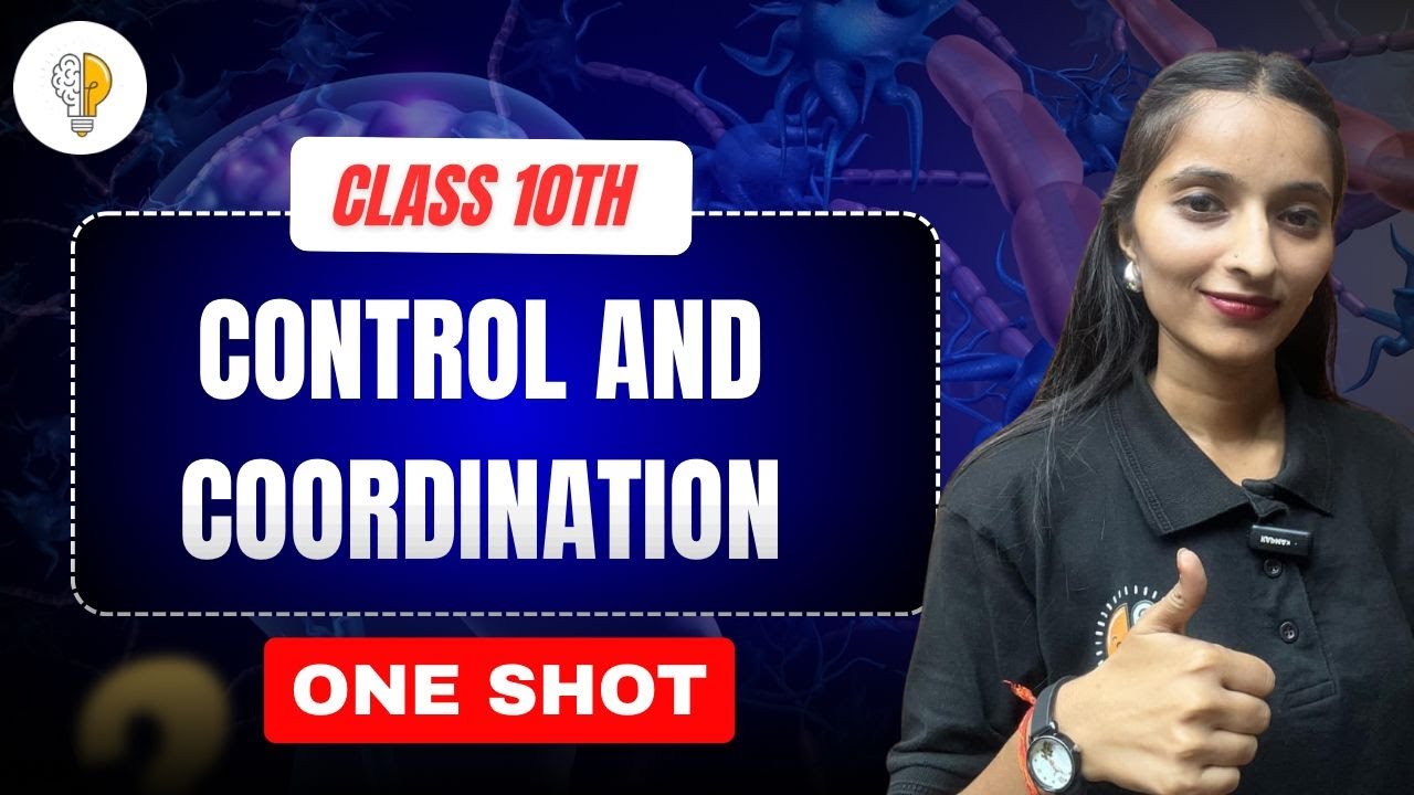 Control and Coordination | Class 10 | Nervous System & Hormones Explained | Brain Gain Academy