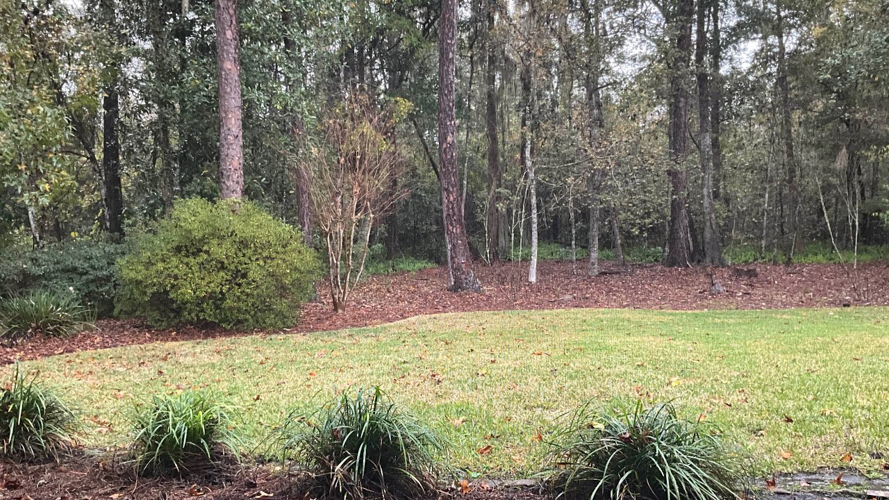 Rainy Day in Florida