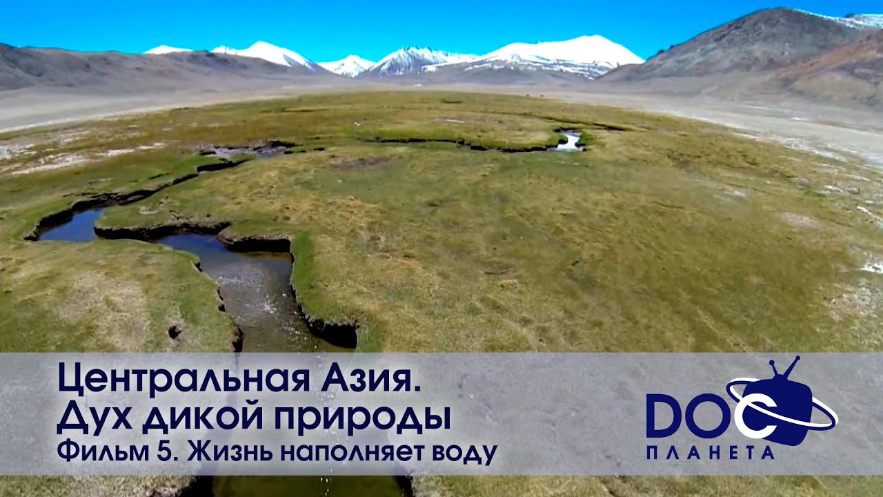 Центральная Азия.Дух дикой природы - Фильм 5. Жизнь наполняет воду - Документальный фильм