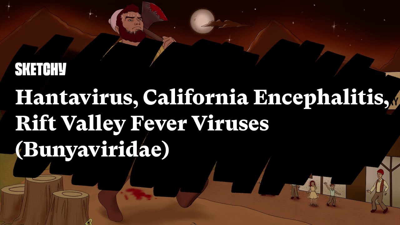 Bunyaviridae:Hantavirus, California Encephalitis, Rift Valley Fever | Sketchy Medical | USMLE Step 1