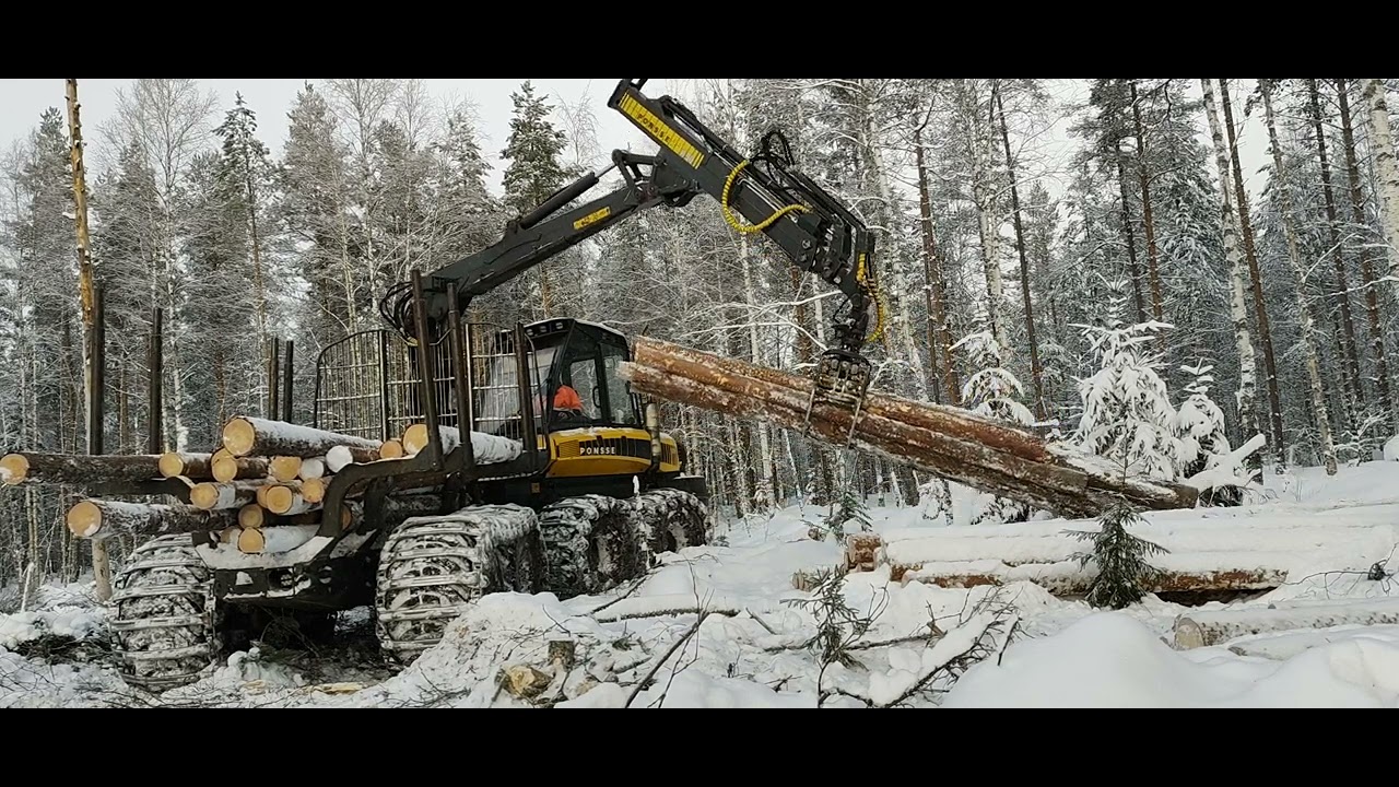 Ponsse Elk Pines From Temporary Storage *Mäntyä Välivarastolta*