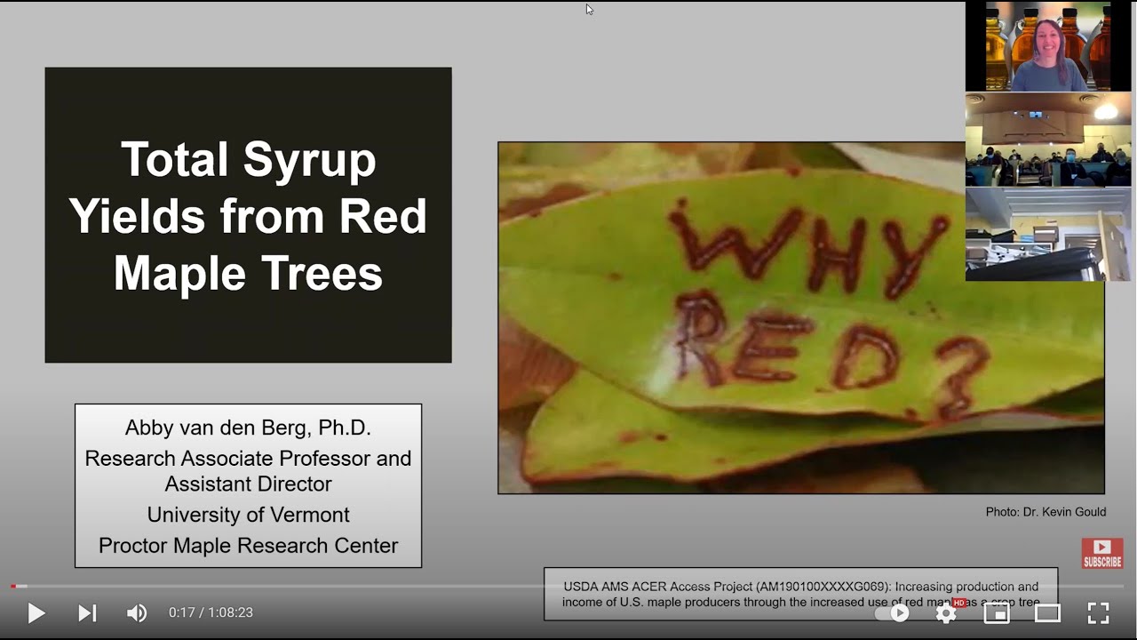 Total Syrup Yields from Red Maple Trees