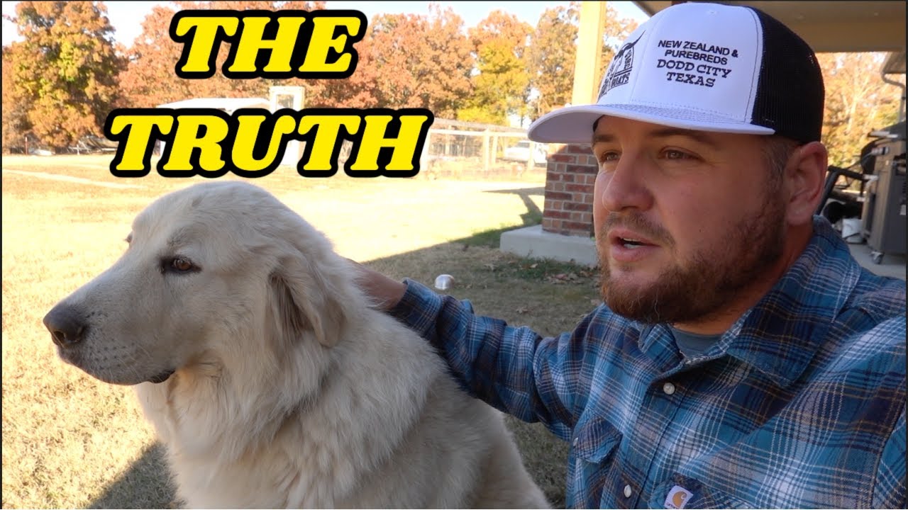 THE TRUTH ABOUT OUR GIANT GUARD DOG