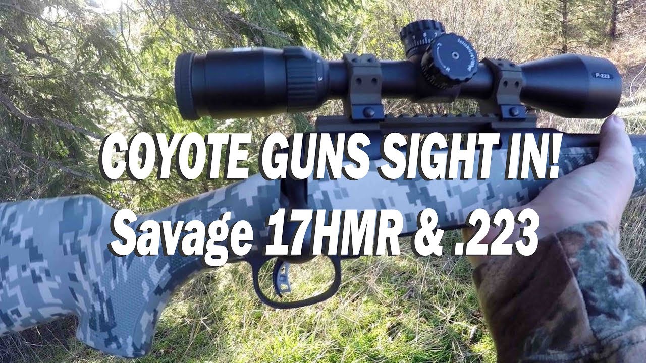 COYOTE GUNS SIGHT IN | Savage 17HMR &.223 Precision Carbine