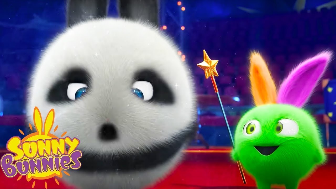 Panda Bunny | SUNNY BUNNIES | Cartoons for Kids | WildBrain Zoo