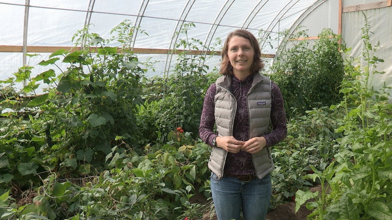 High Tunnels – In the Alaska Garden with Heidi Rader