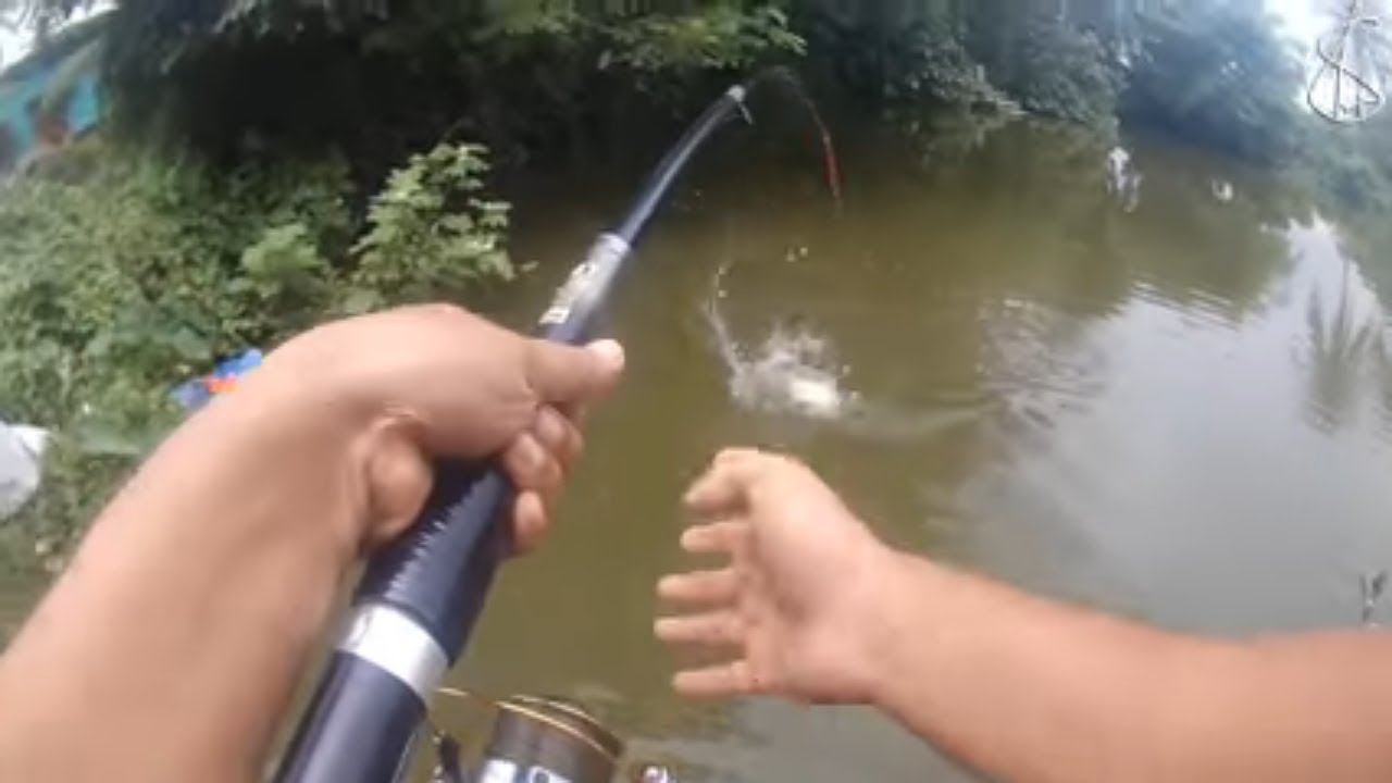 Fishing lakes near me...!!! Got some small...!!!!.