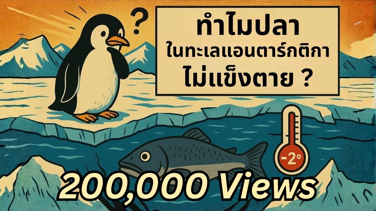 ทำไมปลาในทะเลแอนตาร์กติกา ไม่แข็งตาย ? | เรื่องไม่รู้รอบตัว