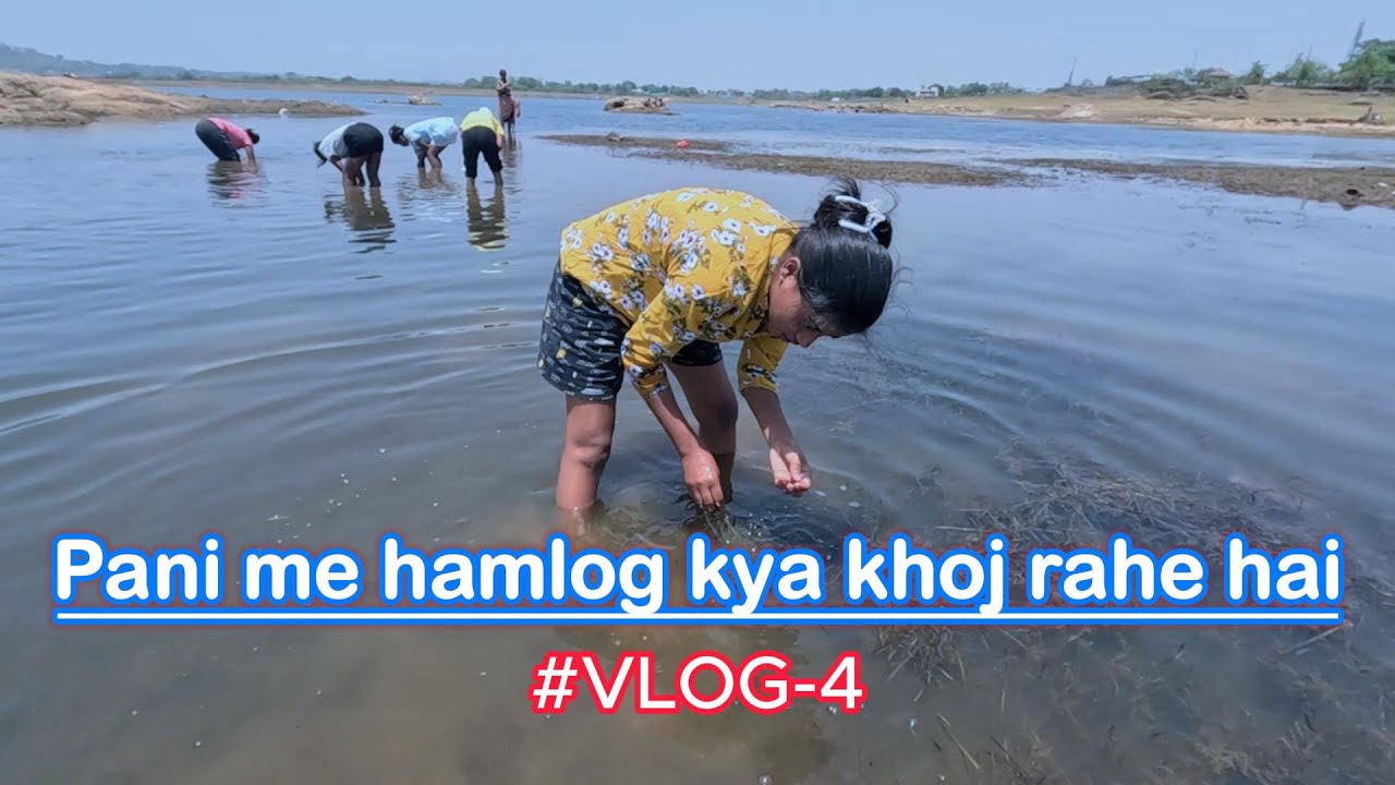 DHURWA DAM  ME HAMLOG GAI  CHINGRI  FISH  PAKARNE / 