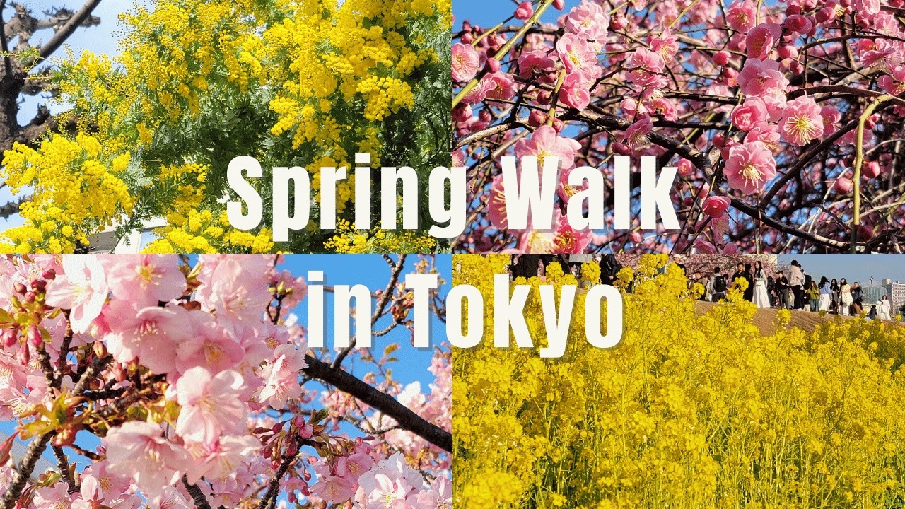 Spring Walk in Tokyo