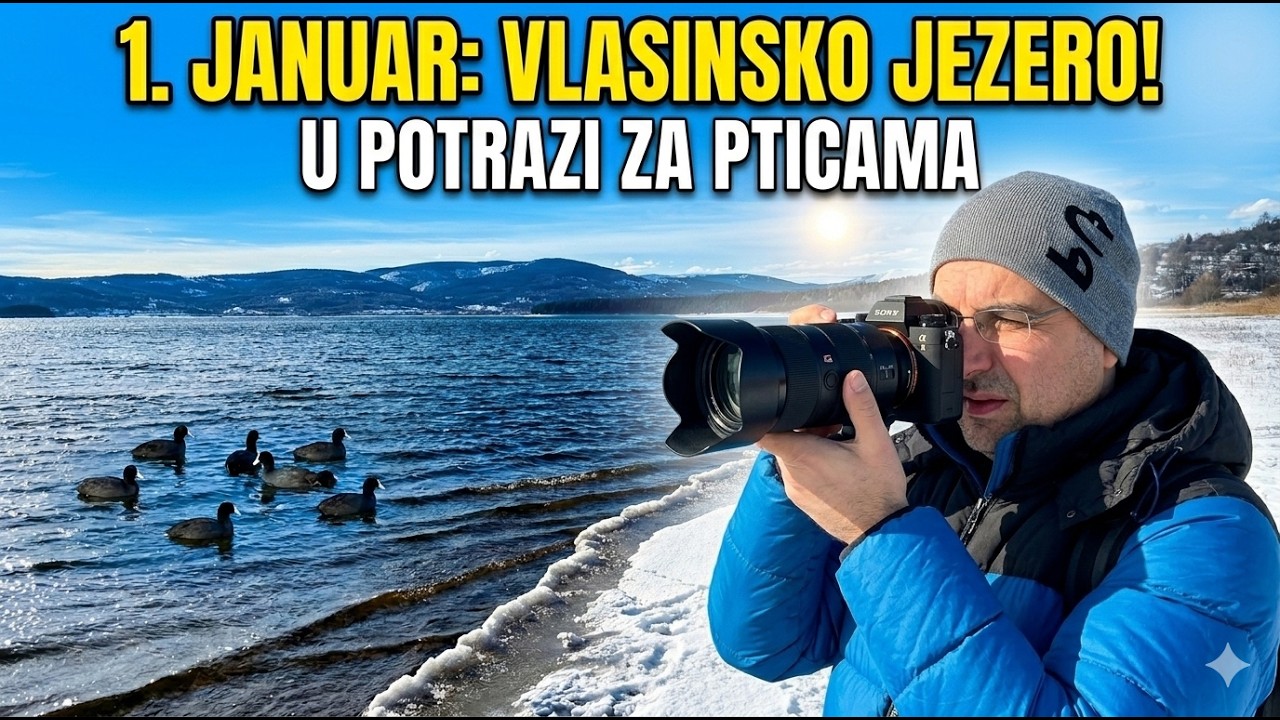 Vlasinsko jezero - pokušao sam da fotografišem crne liske