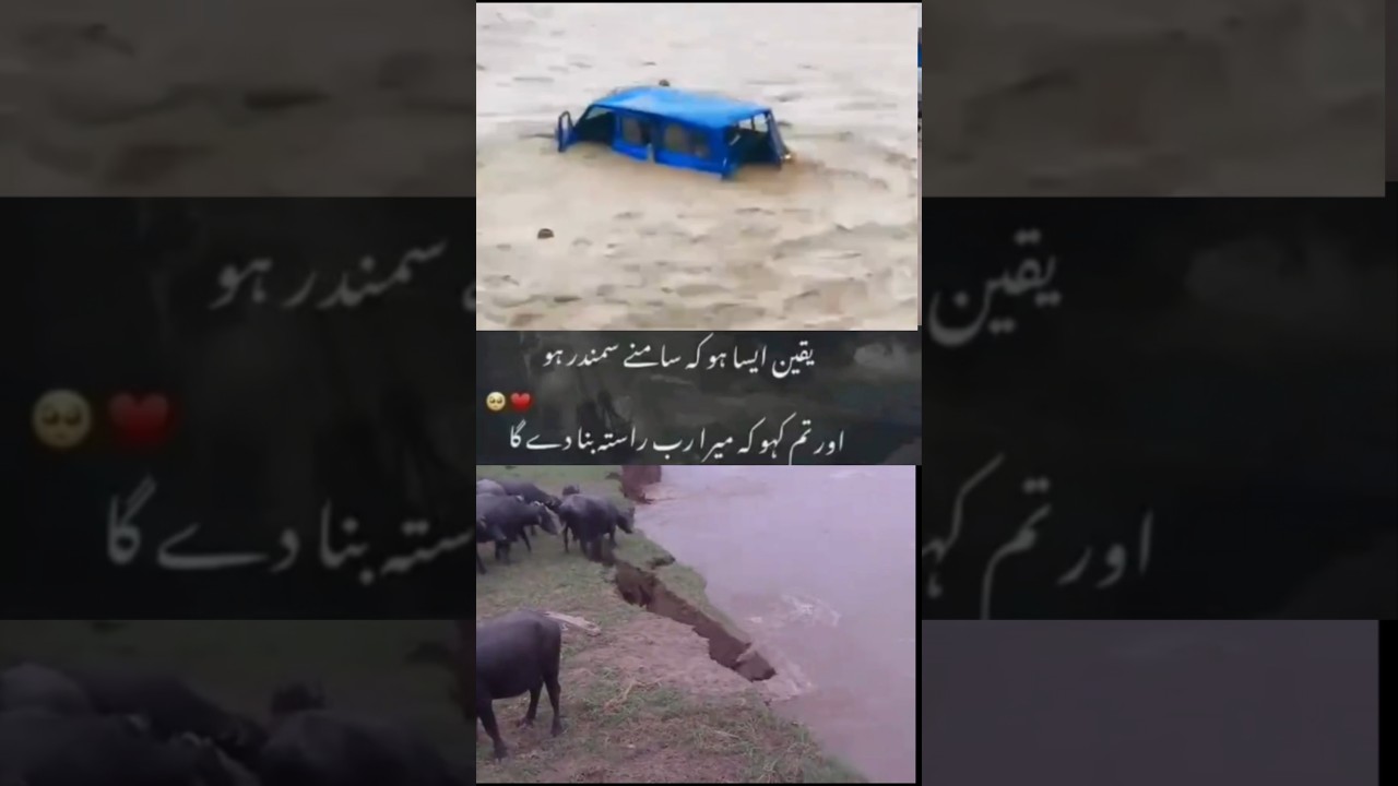 River Flood News Update |Pakistan River Flood News|