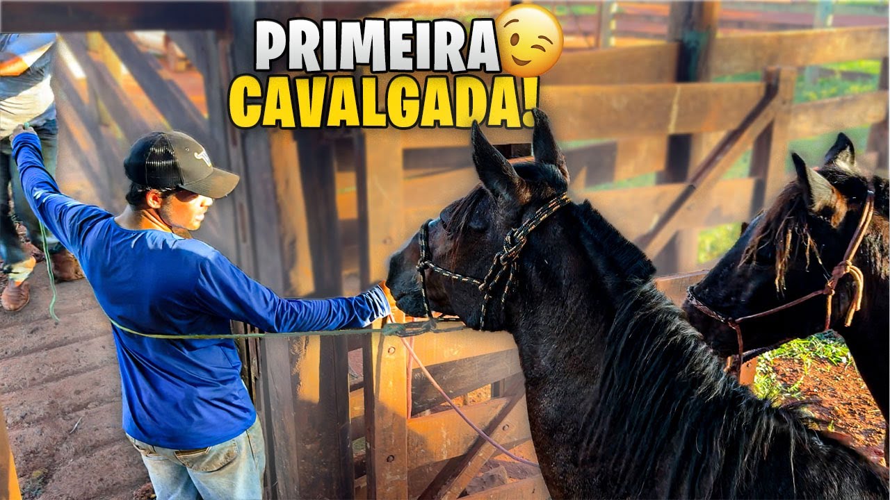 EMBARCANDO TODA MINHA TROPA pra PRIMEIRA CAVALGADA do CANAL!