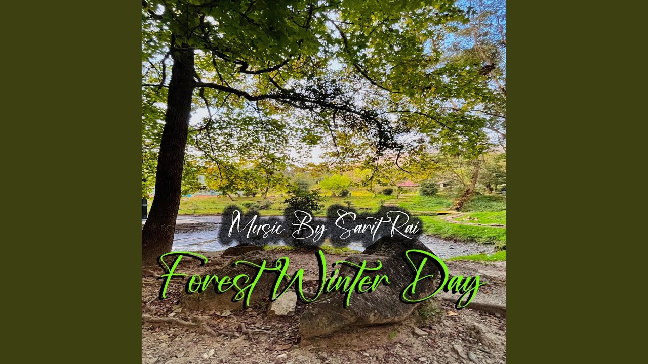 Forest Winter Day