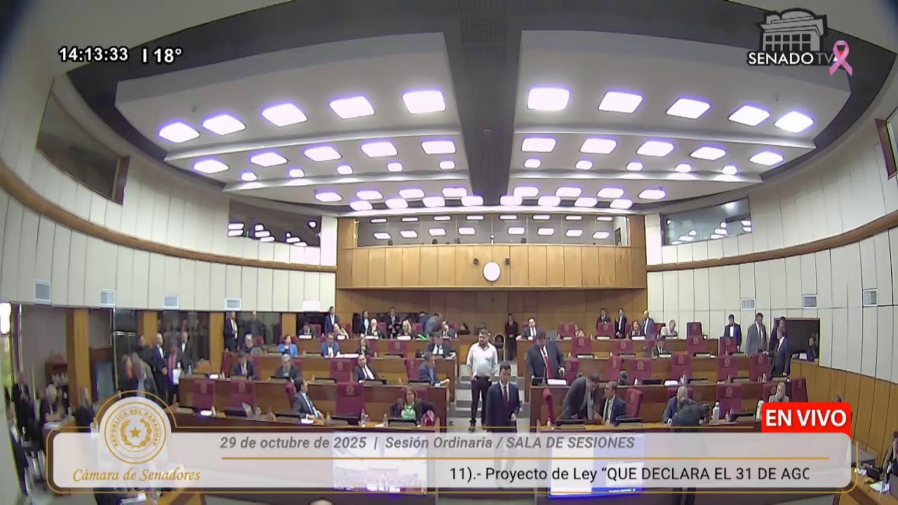 Sesi&oacute;n Ordinaria de la C&aacute;mara de Senadores - 29.10.2025