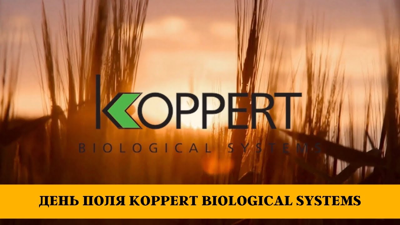 ДЕНЬ ПОЛЯ KOPPERT BIOLOGICAL SYSTEMS