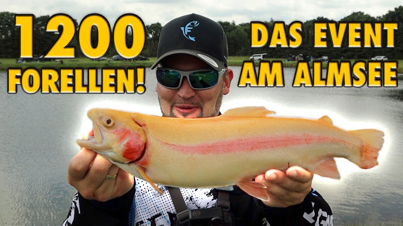 1200 Forellen! Das Event am Almsee | Forellenangeln im Sommer