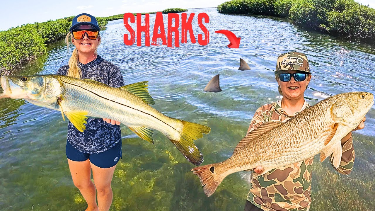 SHARKS EVERYWHERE!! You Won't Believe How We Caught These Fish! CATCH AND COOK