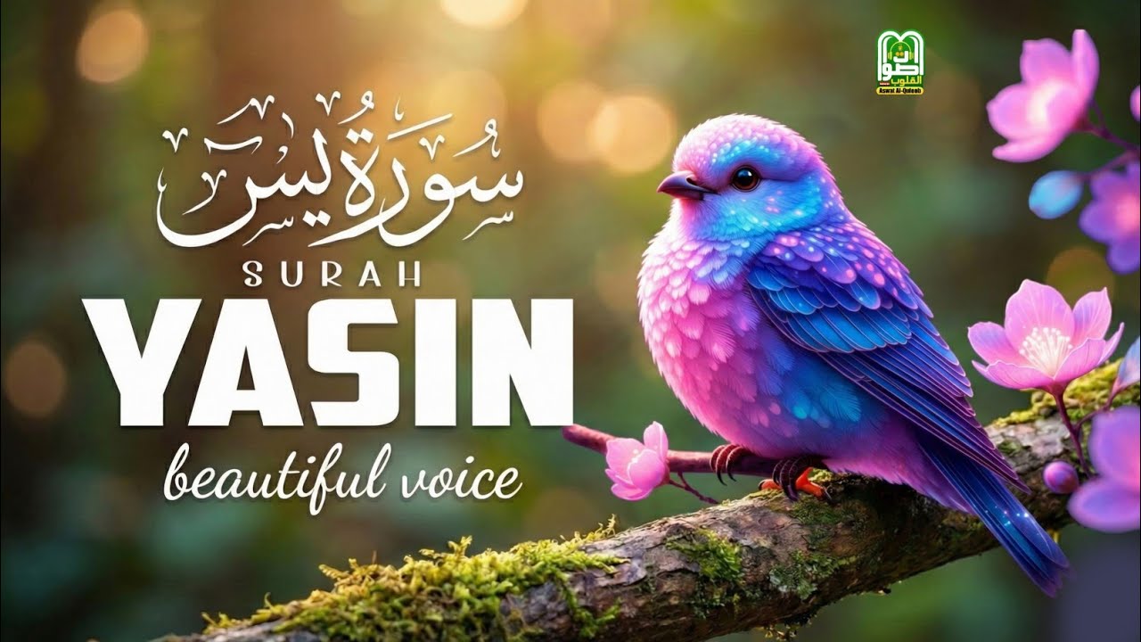 🌙 Surah Yasin سورة يس | Emotional & Soul-Healing Tilawat | A Journey to Inner Peace Aswat Al-Quloob