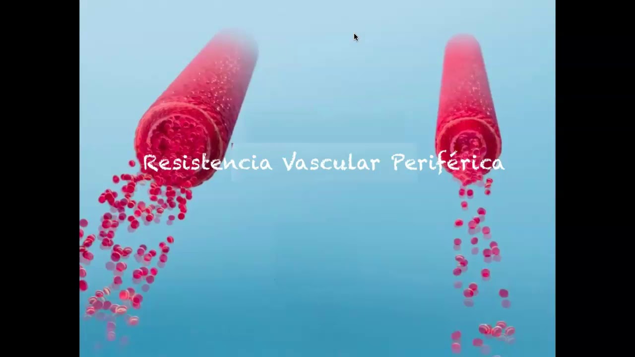 Fisiología en la embarazada