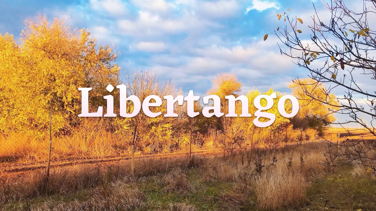Astor Piazzolla, “Libertango” by Alex Tchaikovsky’s jazz-quartet “The Gra” @AlTchai 