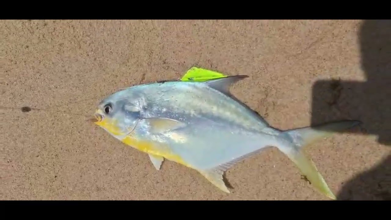 👉 Pesca na praia com anzol no suporte | Tabatinga-PB