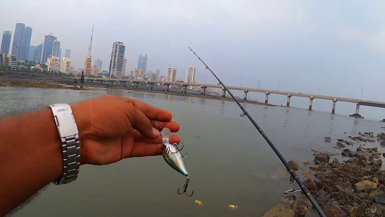 BEST LURE for GROUPER || Major Craft ZONER Crank Bait Lure for Grouper Fishing || BarraHunter