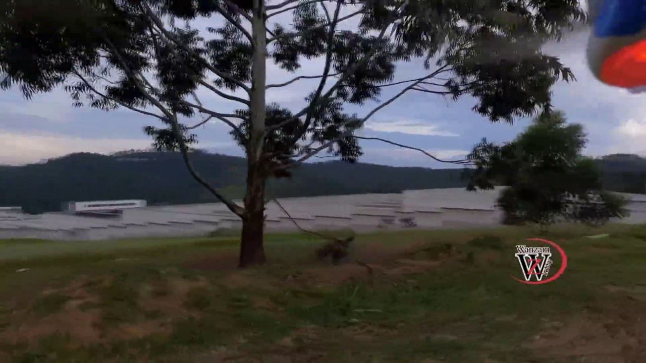 DRONE NA ARVORE wanzam fpv