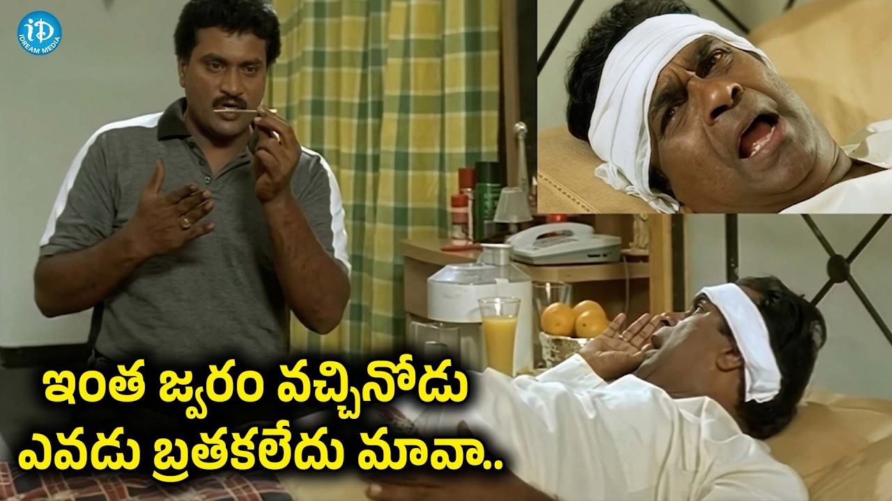 Sunil Back To Back Punches | Telugu Evergreen Comedy Scenes | Brahmanandam @iDpostmix