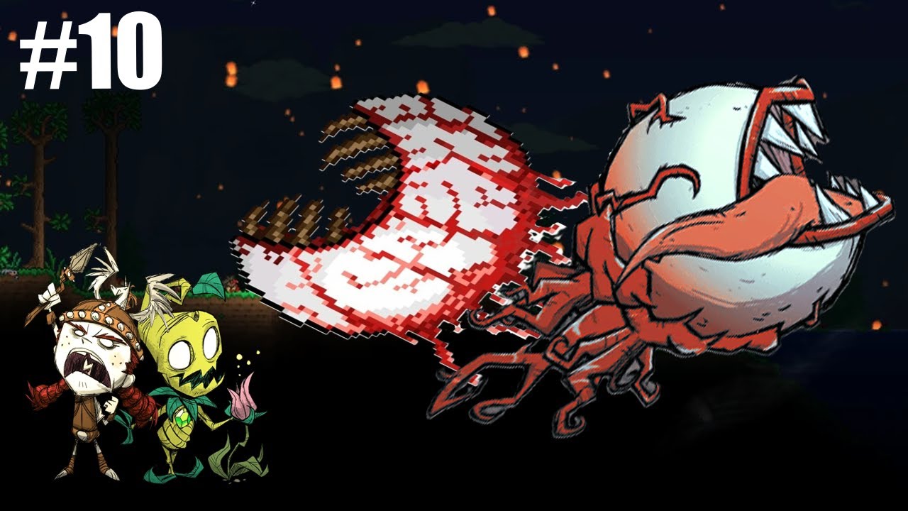 POWRÓT MANGETSUU DO TERRARI?! (100% legit no scam) - Don't Starve BEZ Rollbacków z  @Mangetsuu  #10