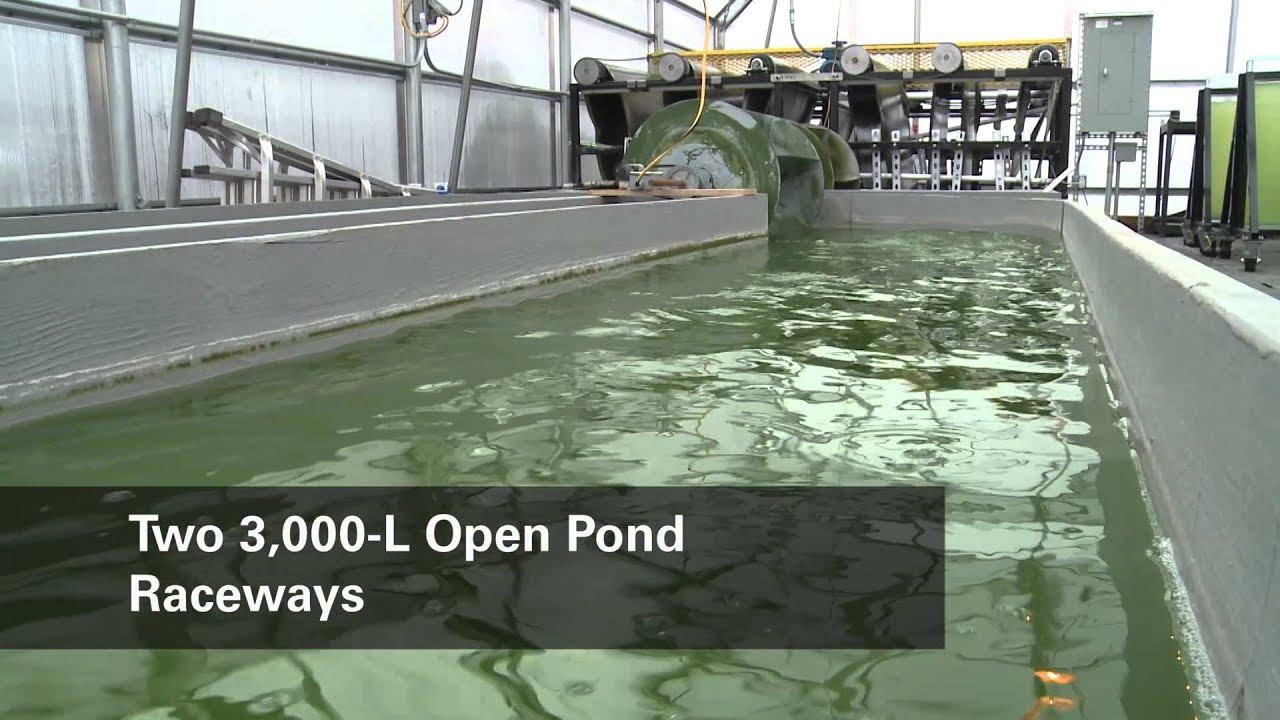 Algal Production Facility Overview
