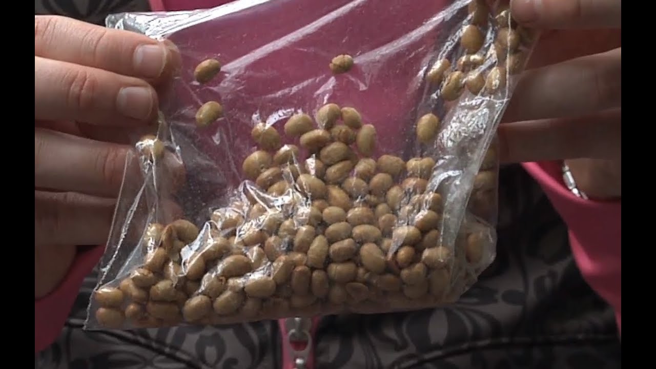 Healthy Protein Snacks On The Go - 60-Second Solutions