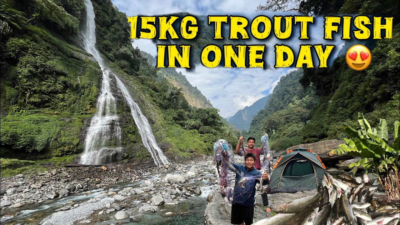 🌊 “Waterfall Fishing: Our Biggest Catch Ever! 15kg trout fish in one day @TRIPTHEWILD @GilumBellai ​