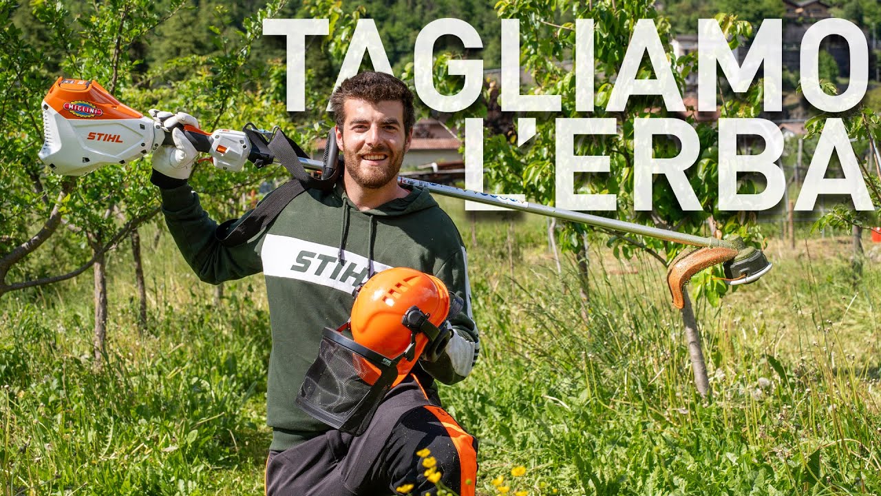 ERBA nel FRUTTETO, come e quando tagliarla