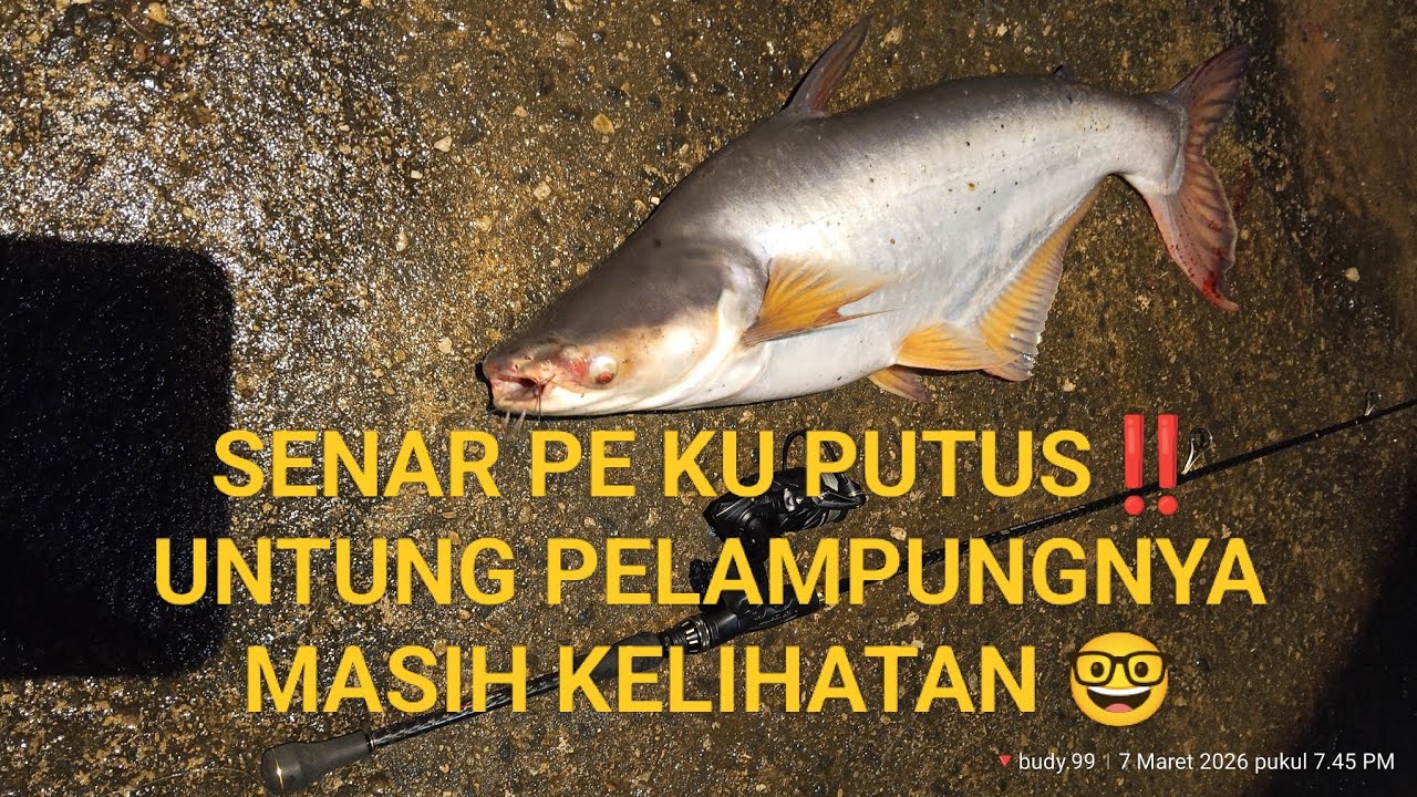 2X LOLOS, AKHIRNYA NAIK JUGA😎