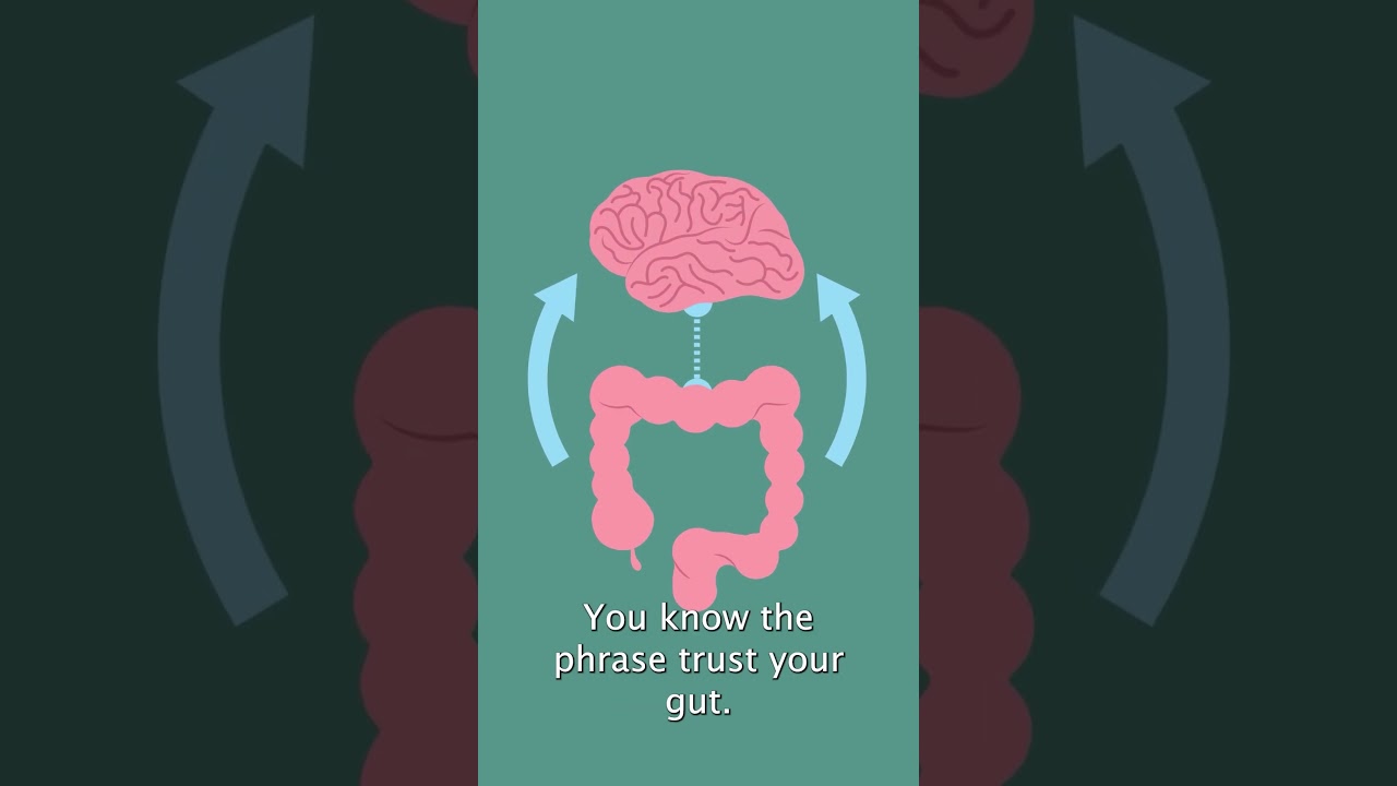 Gut Health Awareness Month: What Can You Do At Home?