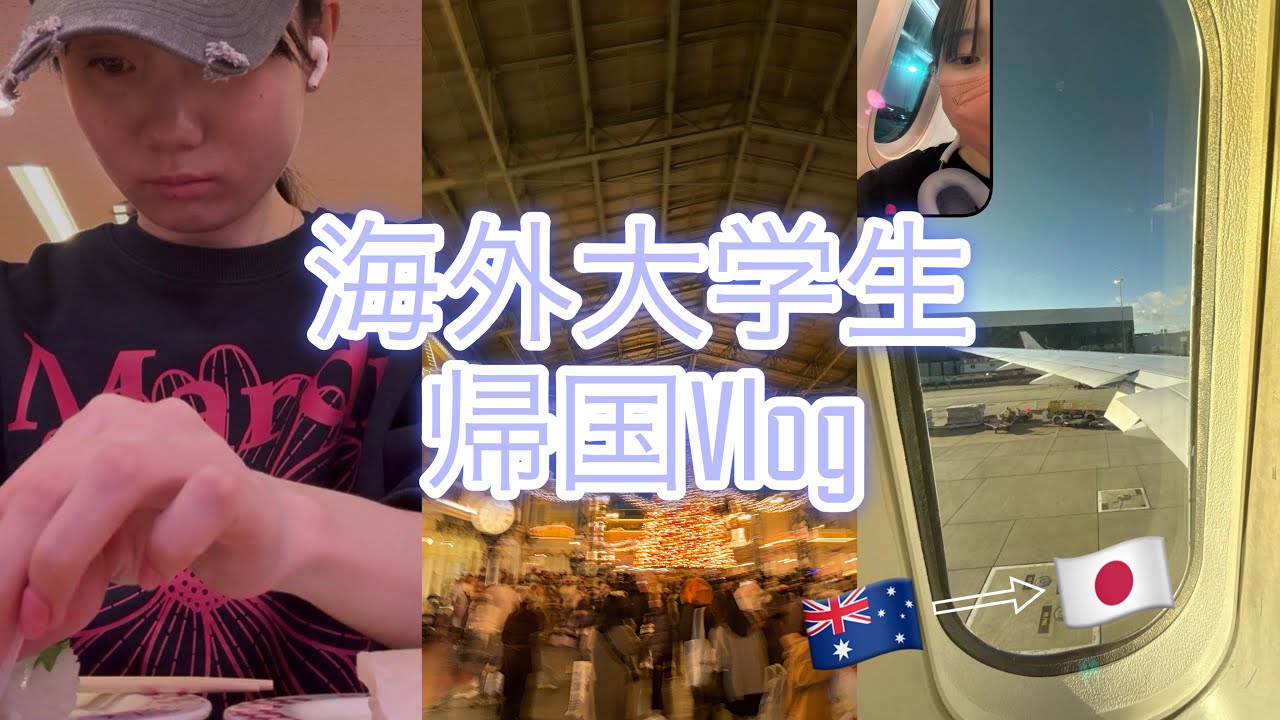[Vlog] はな日本帰国🇯🇵〜海外大学について語ってみた〜
