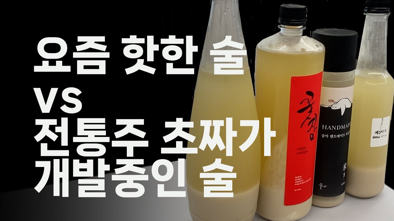 개발중인 전통주 맛 공개합니다