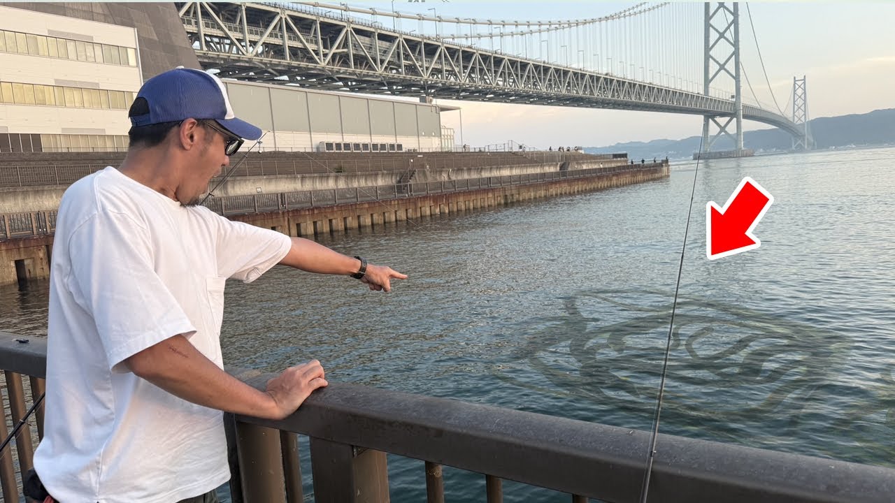 【高級魚】明石ブランド《極上アナゴ》がアジュール舞子で大発生中！！誰でも100％釣れる「ぶっこみ仕掛け」の極意。秘密テクニックを徹底解説。