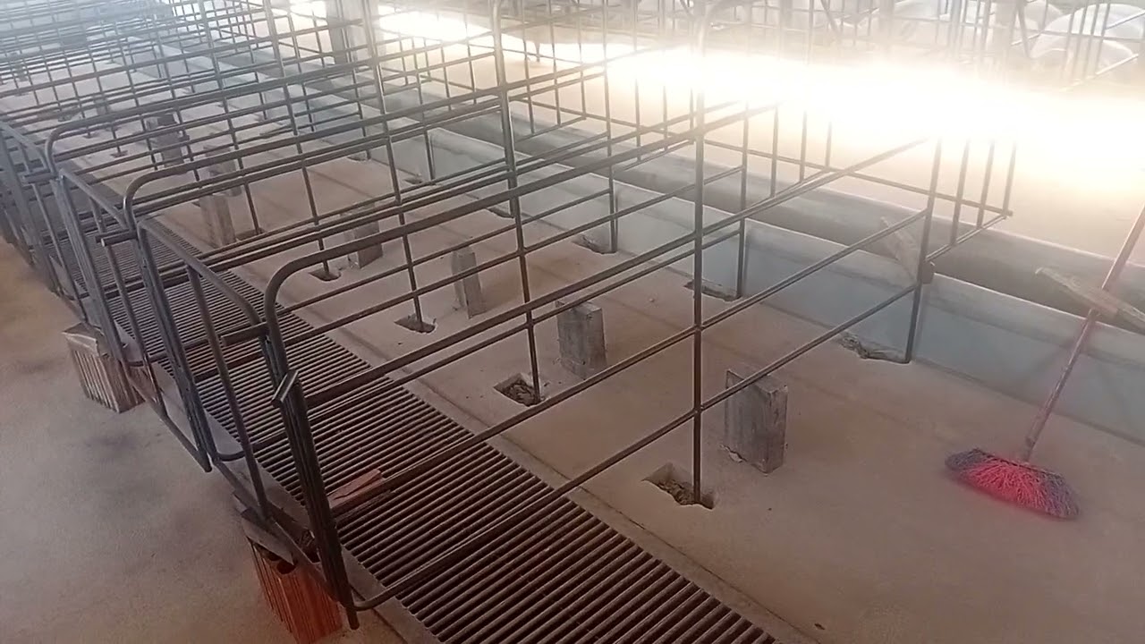 Mais uma etapa Box gestação granja Aleixo 