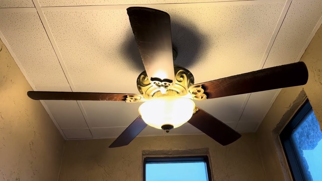Hampton Bay Palisades Ceiling Fans - Ponsi Plaza - North Huntingdon, PA | ECFE