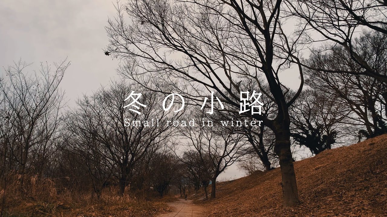 冬の小路で聞こえる音 自然の音 | 3時間 wind sound |  ASMR | 睡眠