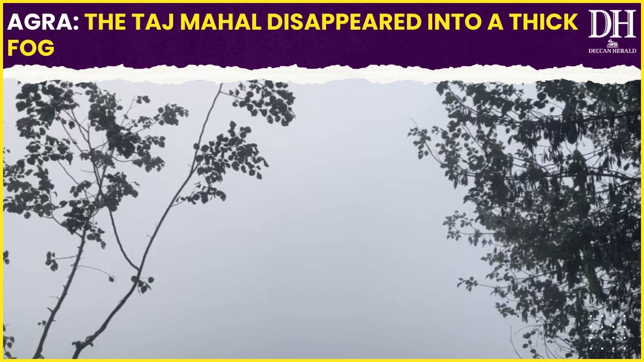 Agra: The Taj Mahal disappeared into a thick fog