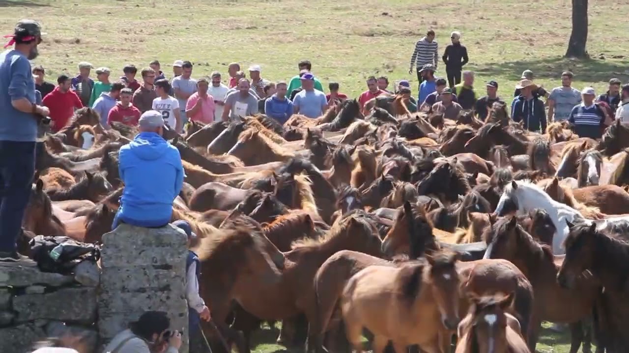 CURRO da VALGA 14 05 2023